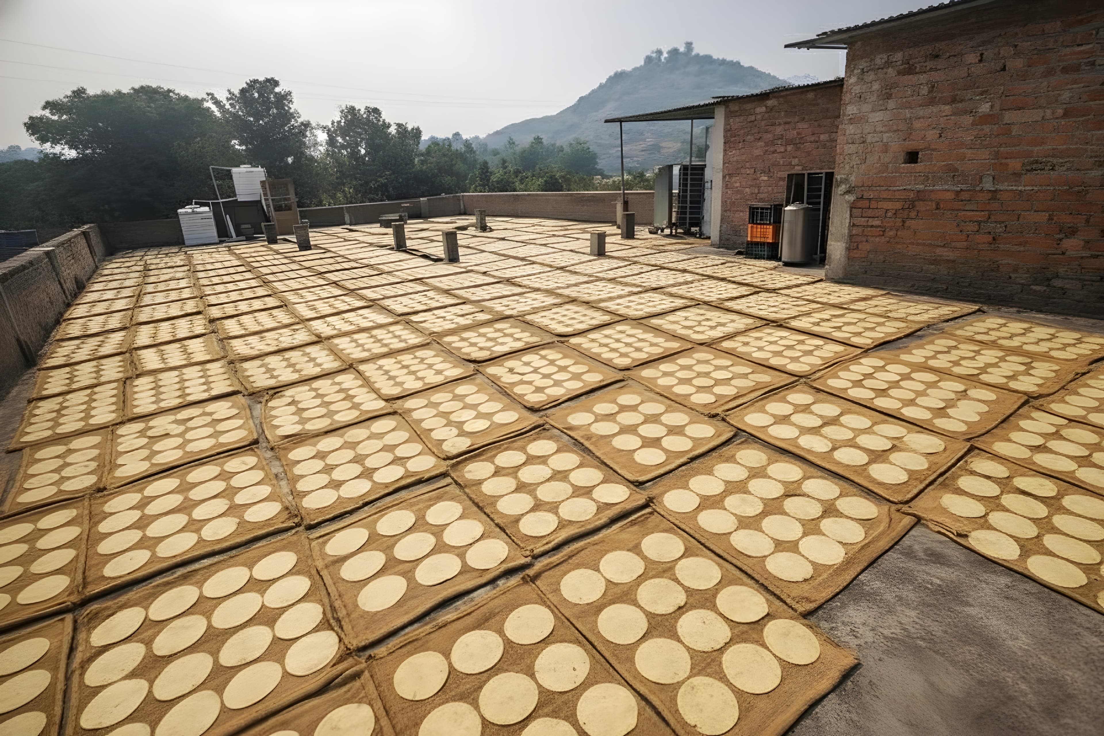 Golden crispy papad ready to eat